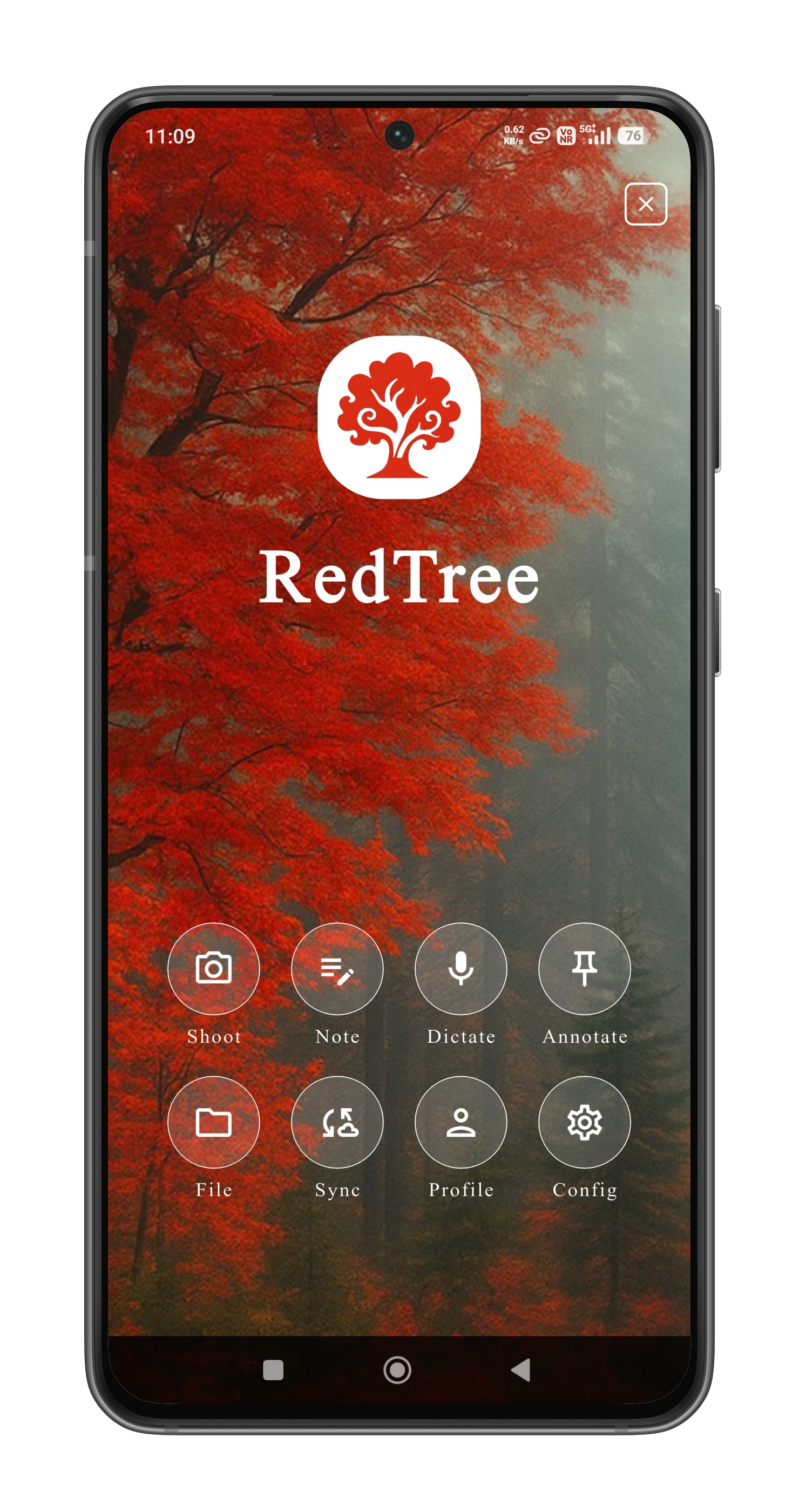 RedTree photograph capture